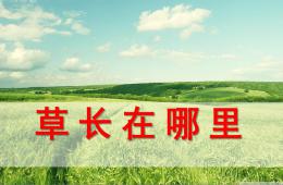 中班科學(xué)草長在哪里PPT課件