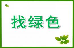 中班綜合找綠色PPT課件