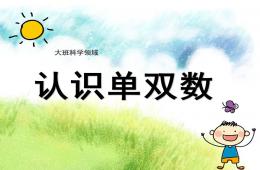 大班數學認識單雙數PPT課件