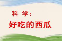 小班科學活動好吃的西瓜PPT課件