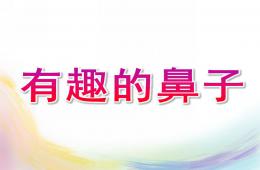 中班綜合有趣的鼻子PPT課件視頻