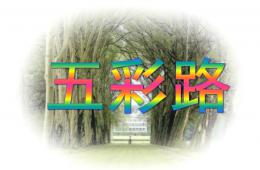 小班美術(shù)活動五彩路PPT課件