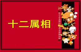 大班社會十二屬相PPT課件
