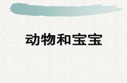 小班語言動物寶寶和媽媽PPT課件