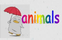 animals兒童英語動(dòng)物PPT課件