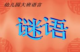 大班語言謎語PPT課件