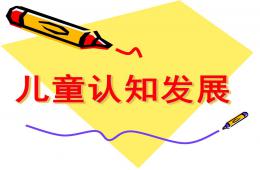 兒童認知發展PPT課件