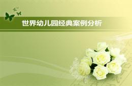 世界幼兒園經(jīng)典案例分析PPT課件