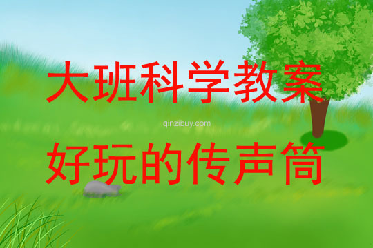 大班科學活動好玩的傳聲筒教案反思