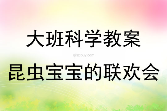 大班科學活動昆蟲寶寶的聯歡會教案反思