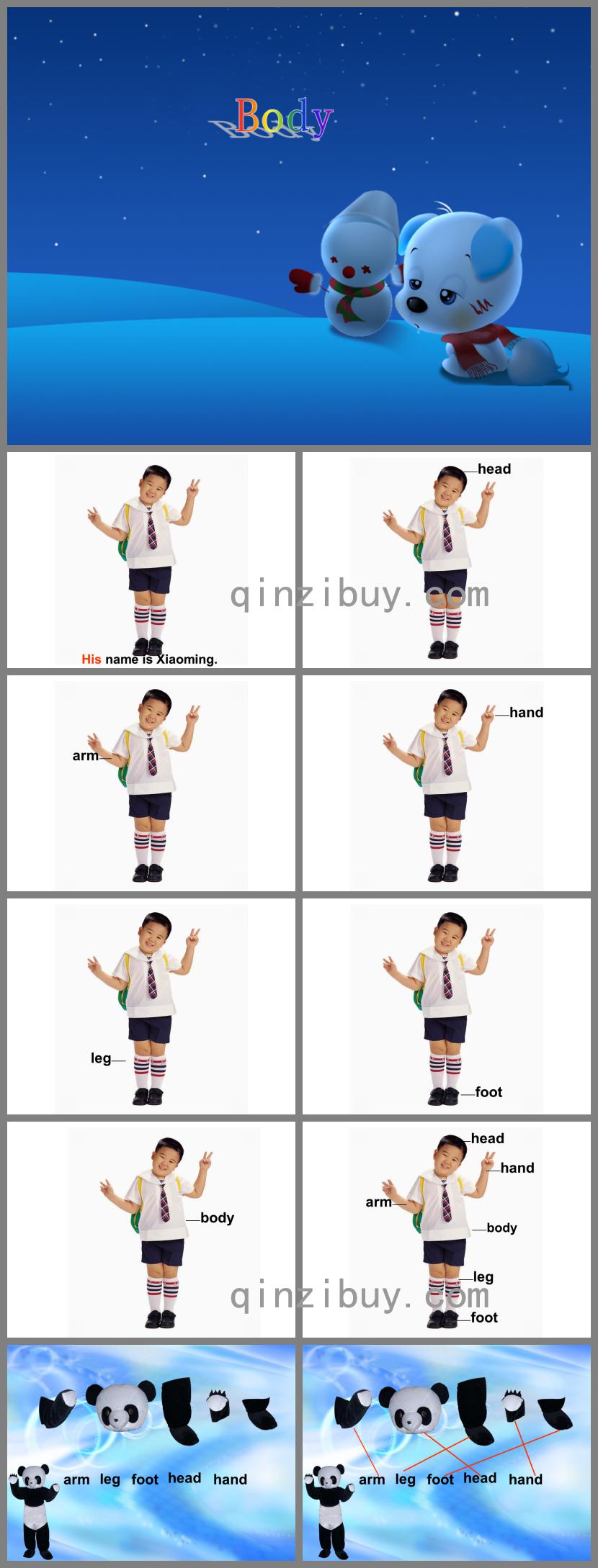 英語身體部位單詞PPT課件