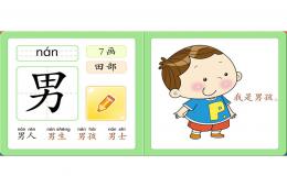 學前班完美識字卡片-中PPT課件