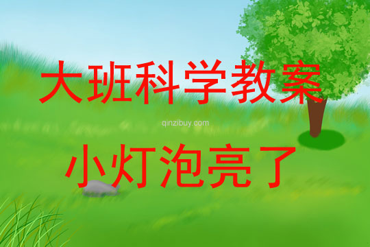 大班科學活動小燈泡亮了教案反思