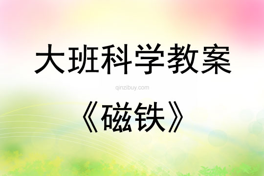 大班科學(xué)活動磁鐵教案反思