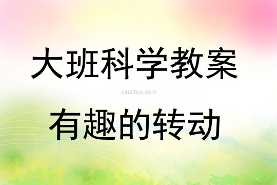 大班科學(xué)活動有趣的轉(zhuǎn)動教案反思