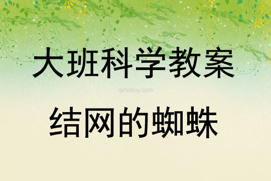 大班科學活動結網的蜘蛛教案反思
