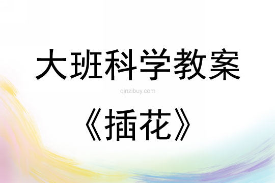 大班科學活動插花教案反思