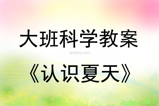 大班科學(xué)活動認(rèn)識夏天教案反思