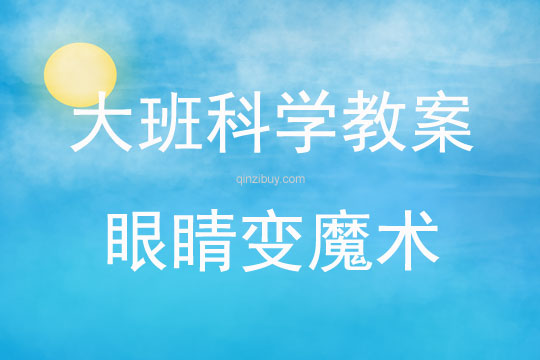 大班科學活動眼睛變魔術教案反思