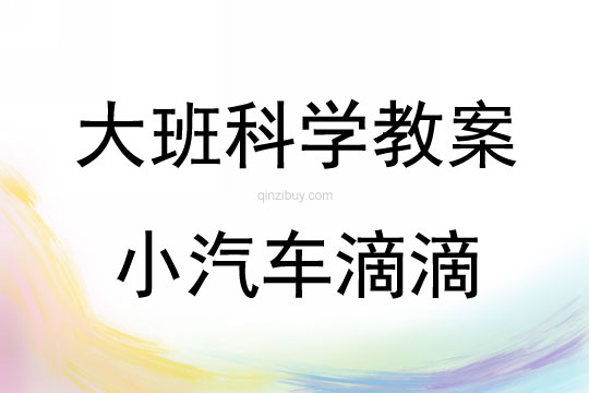 大班科學(xué)活動(dòng)小汽車滴滴教案反思