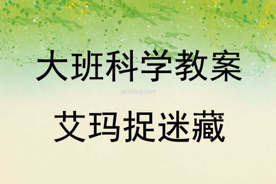 大班科學(xué)活動(dòng)艾瑪捉迷藏教案反思