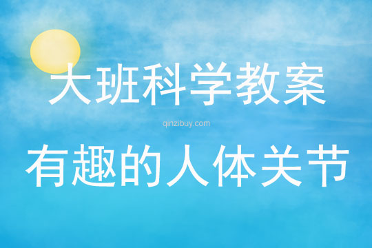 大班科學活動有趣的人體關(guān)節(jié)教案反思