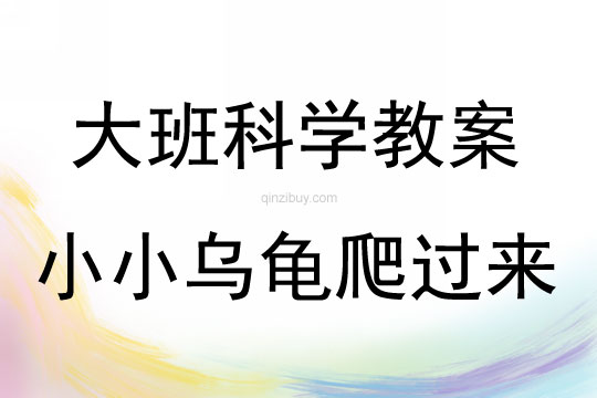 大班科學活動小小烏龜爬過來教案反思