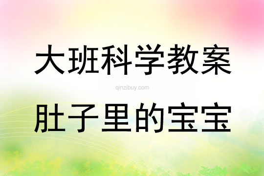 大班科學活動肚子里的寶寶教案反思