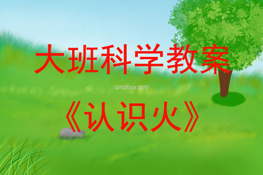 大班科學(xué)活動認(rèn)識火教案反思