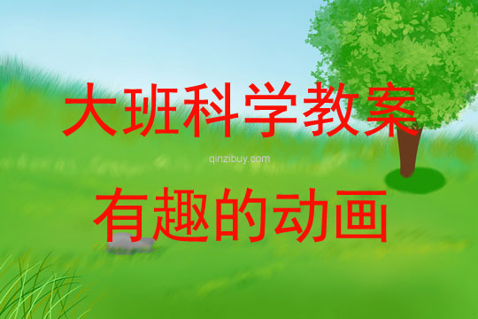 大班科學活動有趣的動畫教案反思