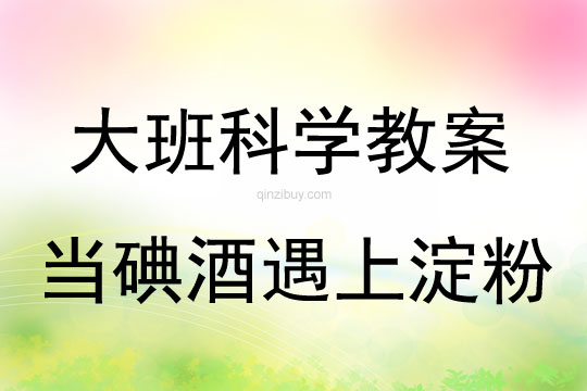 大班科學活動當碘酒遇上淀粉教案反思