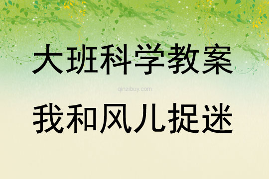 大班科學活動我和風兒捉迷藏教案反思
