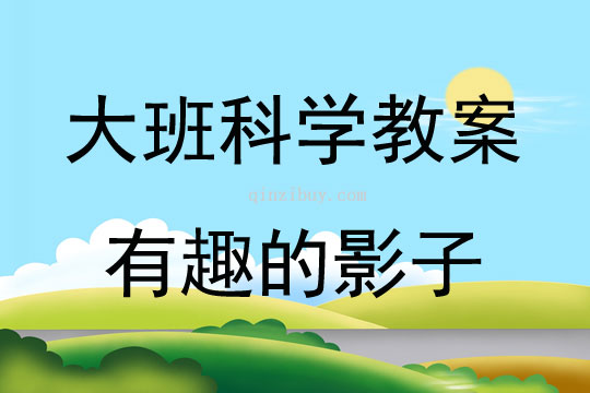 大班科學活動有趣的影子教案反思