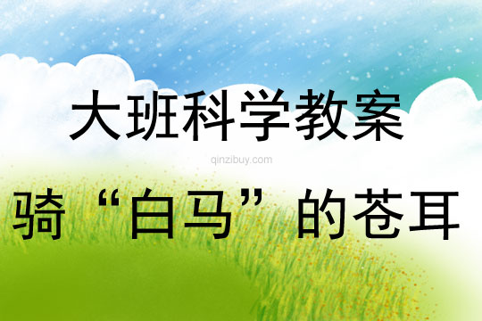 大班科學活動騎“白馬”的蒼耳教案反思