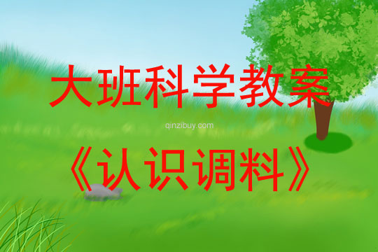 大班科學(xué)活動認(rèn)識調(diào)料教案反思