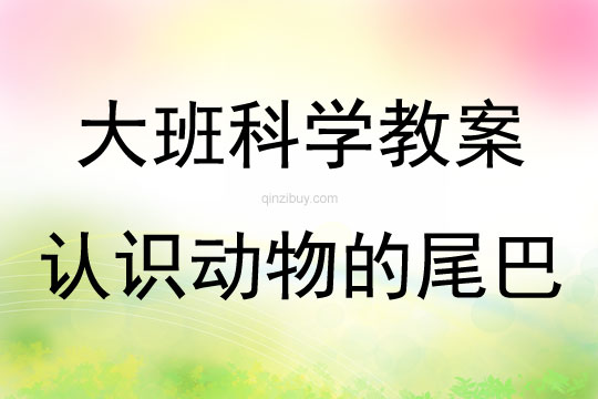 大班科學(xué)活動(dòng)認(rèn)識(shí)動(dòng)物的尾巴教案反思