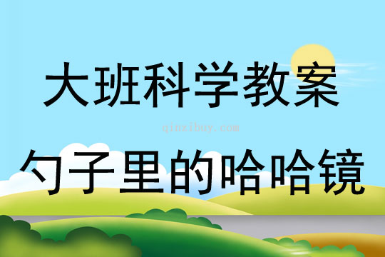 大班科學活動勺子里的哈哈鏡教案反思