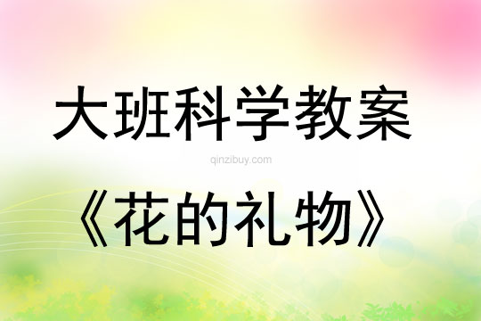 大班科學活動花的禮物教案反思
