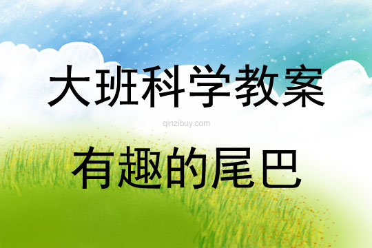 大班科學活動有趣的尾巴教案反思