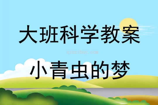 大班科學(xué)活動(dòng)小青蟲(chóng)的夢(mèng)教案反思