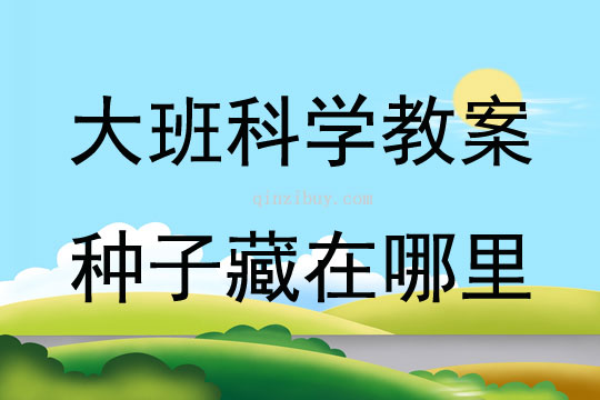 大班科學(xué)活動(dòng)種子藏在哪里教案反思