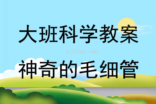 大班科學活動神奇的毛細管教案反思