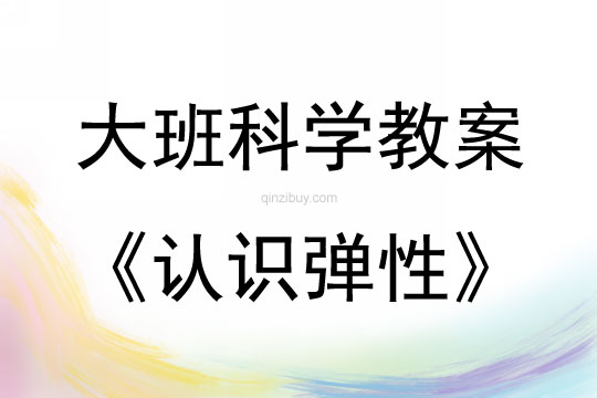 大班科學活動認識彈性教案反思