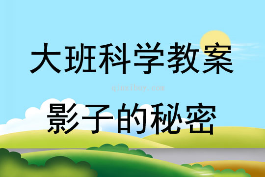 大班科學活動影子的秘密教案反思
