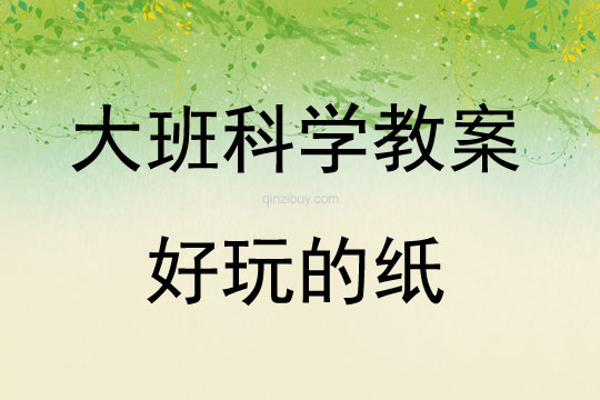 大班科學(xué)活動(dòng)好玩的紙教案反思