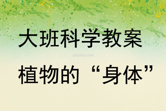大班科學(xué)活動(dòng)植物的“身體”教案反思