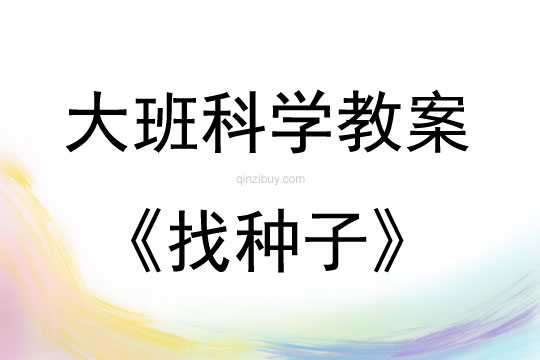 大班科學活動找種子教案反思