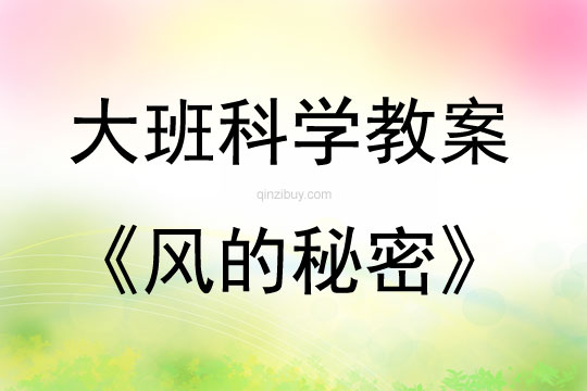 大班科學(xué)風(fēng)的秘密教案反思