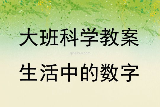 大班科學生活中的數字教案反思