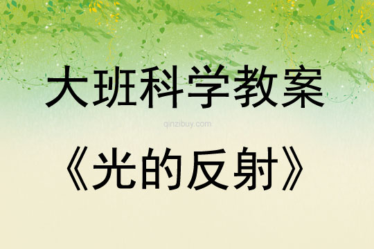 大班科學(xué)活動(dòng)教案：光的反射教案